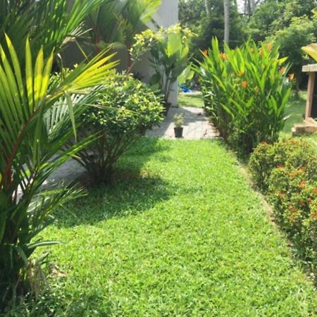 White Butterfly - A Countryside Homestay Thiruvananthapuram Екстериор снимка