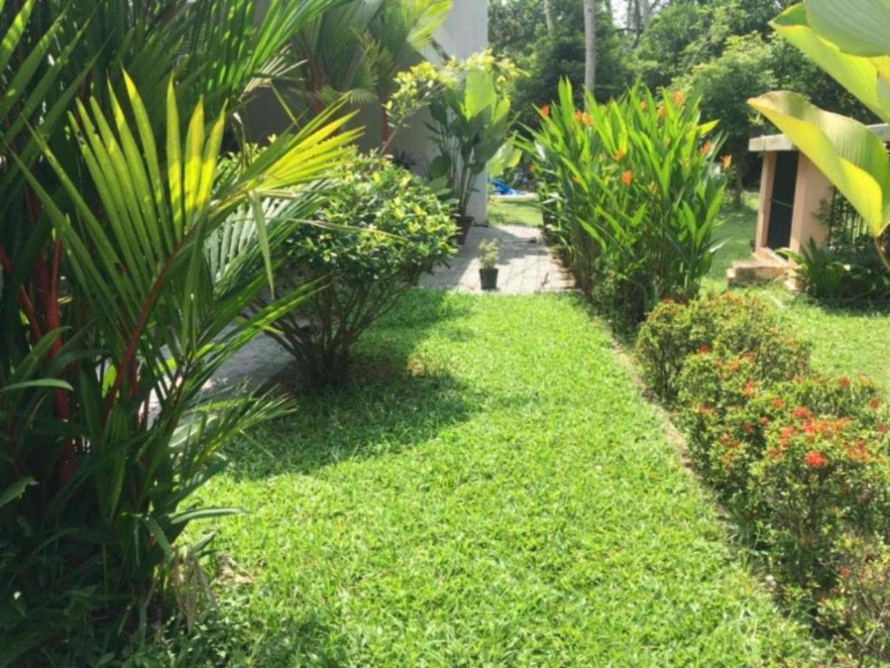 White Butterfly - A Countryside Homestay Thiruvananthapuram Екстериор снимка